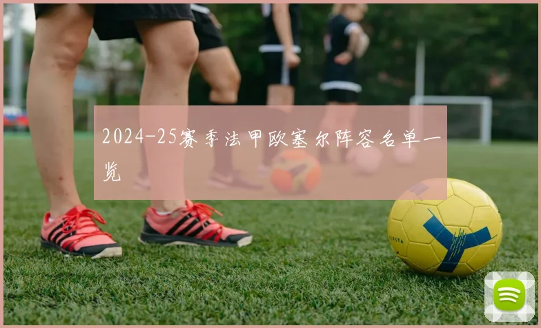 2024-25赛季法甲欧塞尔阵容名单一览