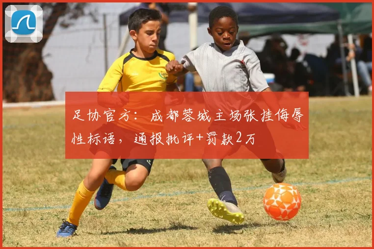 足协官方：成都蓉城主场张挂侮辱性标语，通报批评+罚款2万