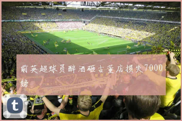 前英超球员醉酒砸古董店损失7000镑