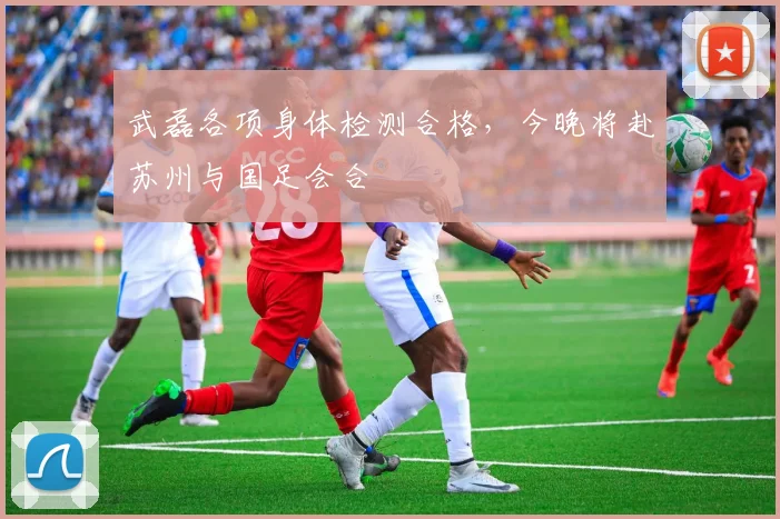 武磊各项身体检测合格，今晚将赴苏州与国足会合