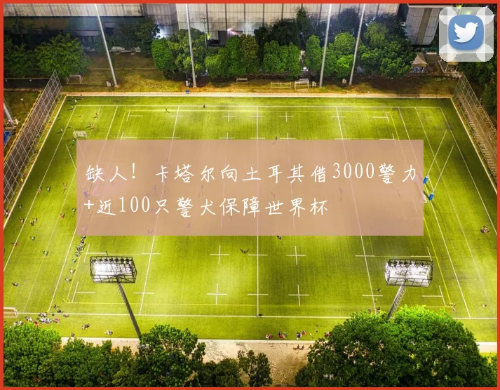缺人！卡塔尔向土耳其借3000警力+近100只警犬保障世界杯